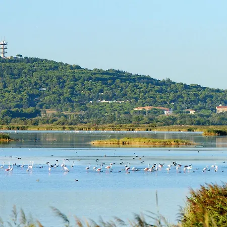 Дом отдыха Les Lavandines 1-6 By Interhome Агд